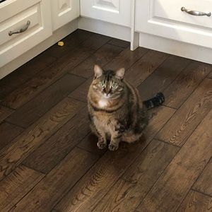 Meet your Posher, Martine